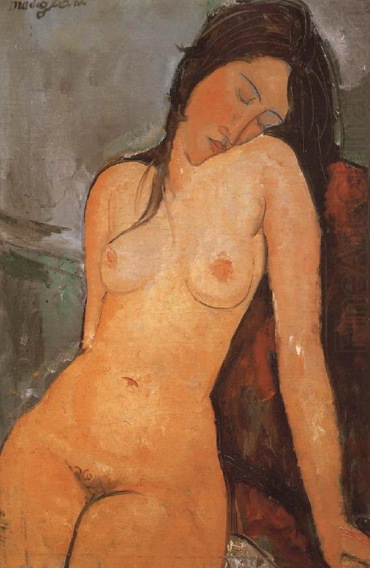 Amedeo Modigliani Seated Nude china oil painting image